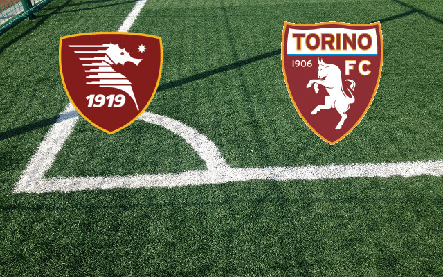 Alineaciones Salernitana-Torino