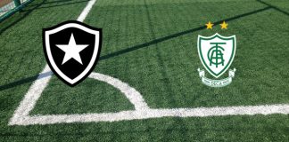 Alineaciones Botafogo RJ-America MG