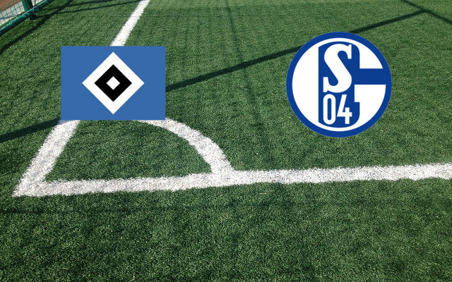 Alineaciones Hamburgo-Schalke 04