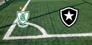 Alineaciones America MG-Botafogo RJ