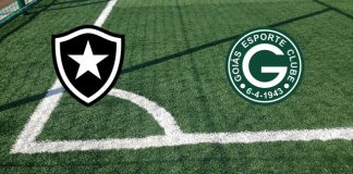 Alineaciones Botafogo RJ-Goiás