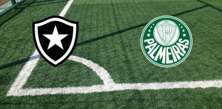 Alineaciones Botafogo RJ-Palmeiras