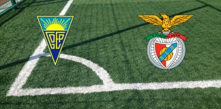 Estoril-Benfica (sábado 7 de octubre 2023, 13:30 h.): alineaciones oficiales, cuotas, pronóstico. Las Águilas quieren olvidarse de Milán Alineaciones Estoril-Benfica