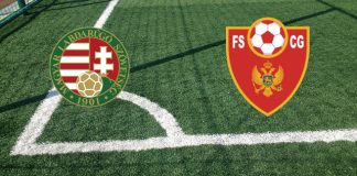 Alineaciones Hungría-Montenegro