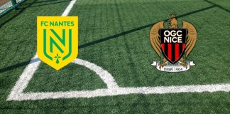 Alineaciones Nantes-Niza