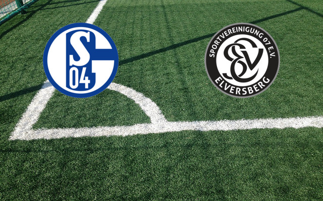 Alineaciones Schalke 04-Elvesberg
