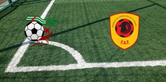Argelia-Angola (Copa Africana de Naciones, 15.01.2024 a las 14:00): alineaciones oficiales, cuotas, pronóstico Alineaciones Argelia-Angola