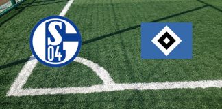 Alineaciones Schalke 04-Hamburgo