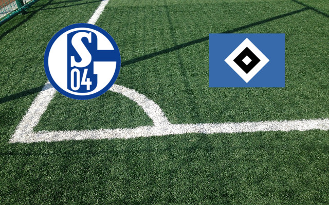 Alineaciones Schalke 04-Hamburgo