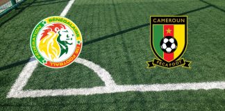 Alineaciones Senegal-Camerún