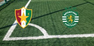 Alineaciones Estrela da Amadora-Sporting de Lisboa