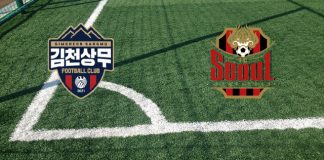 Gimcheon Sangmu-FC Seúl (martes 28 de mayo 2024, 04:30 h.): alineaciones oficiales, cuotas, pronóstico Alineaciones Gimcheon Sangmu-FC Seoul