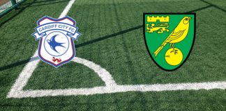 Cardiff- Norwich (sàbado 2 de noviembre, 09:00 h.): alineaciones oficiales, cuotas, pronósticos Alineaciones Cardiff-Norwich