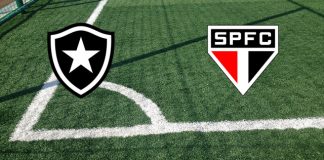 Alineaciones Botafogo RJ-Sao Paulo