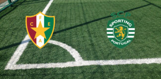 Estrella de Amadora – Sporting de Lisboa (sàbado 11 de abril, 13:30 h.): alineaciones oficiales, cuotas, pronósticos. El equipo de Rui Borges continúa su persecución. Predicción Estrela da Amadora-Sporting de Lisboa