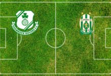 Predicción Shamrock Rovers-Floriana