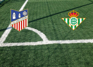 CD Navalcarnero vs. Real Betis (miércoles 28 de octubre, 14:00 h.): alineaciones, cuotas, pronósticos. El Real Betis quiere evitar sorpresas. Predicción C. D. Navalcarnero-Real Betis
